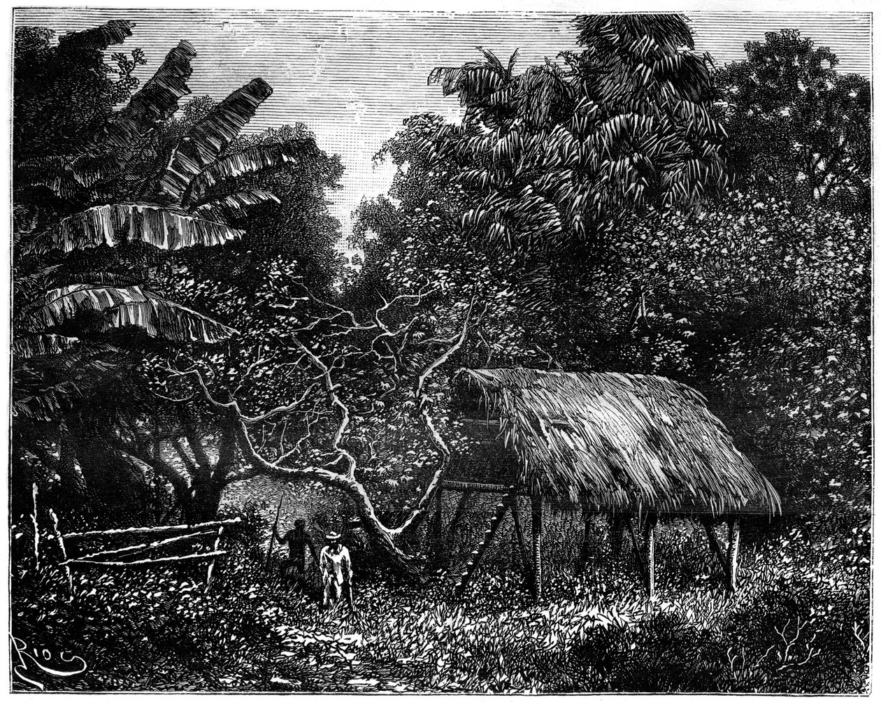 Guyana, Südamerika, 19. Jahrhundert von Edouard Riou