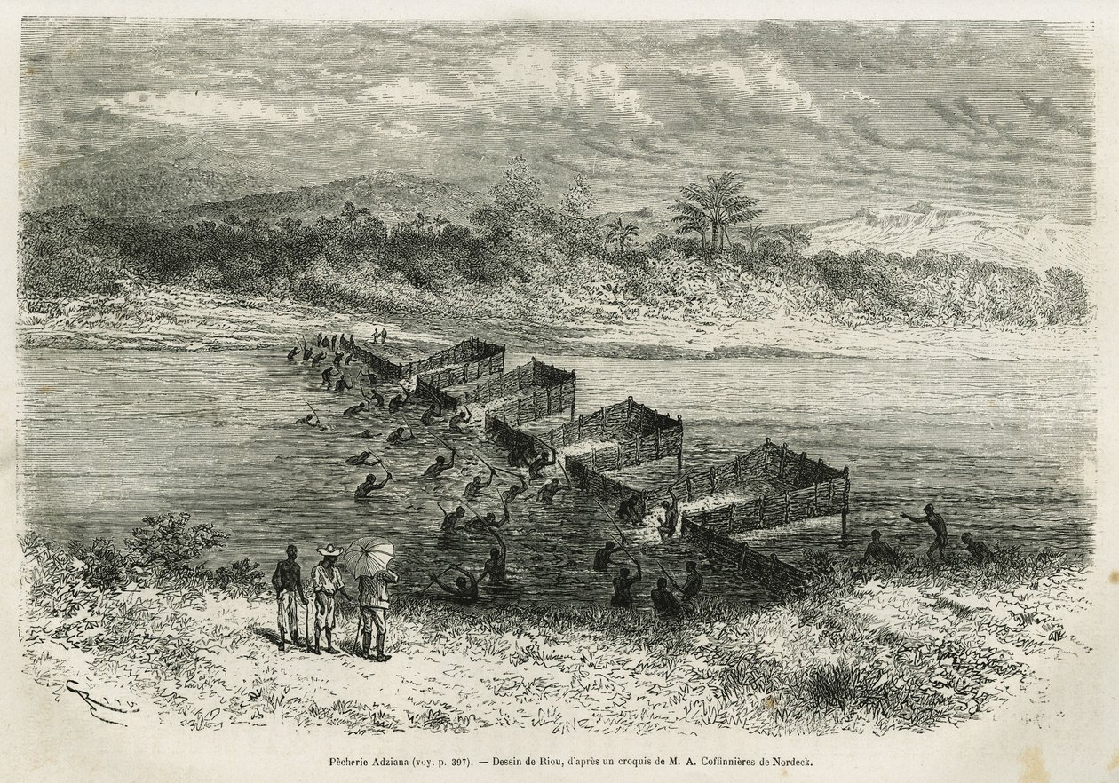 Die Fischereiindustrie am Fluss Eboga, die die Fische durch die Stromschnellen durch ihre Bambusfallen führt, Zeichnung von Riou, zur Illustration der Geschichte einer Reise nach Gabun und dem Fluss Ogoue, 1875-1877, von Alfred Marche. Gravur in Le tour du von Edouard Riou