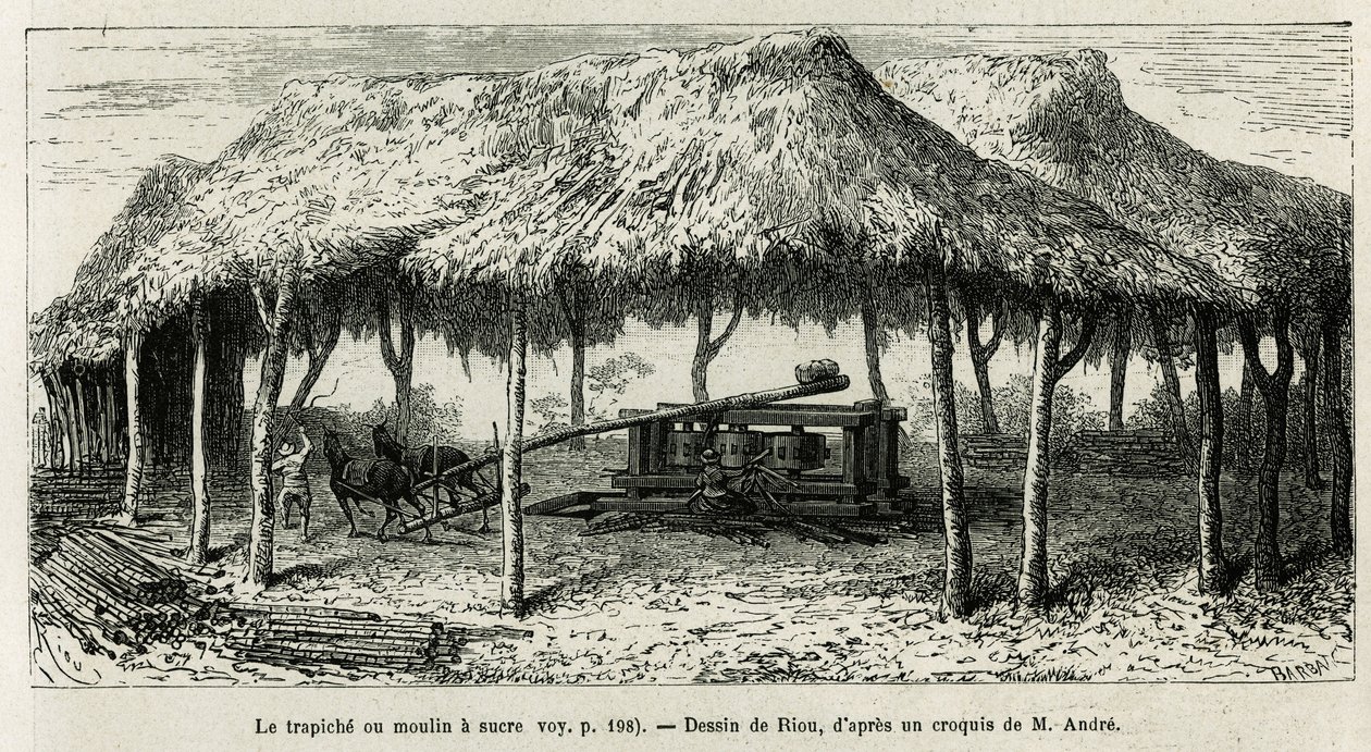 Die Trapiche, oder Zuckermühle zum Mahlen der Zuckerrohre in Panche (Kolumbien), Zeichnung von Riou, zur Illustration der Geschichte von Äquatorialamerika (Kolumbien, Ecuador, Peru), 1875-1876, von Ed. Andre, Reisender im Auftrag der französischen Regierun von Edouard Riou