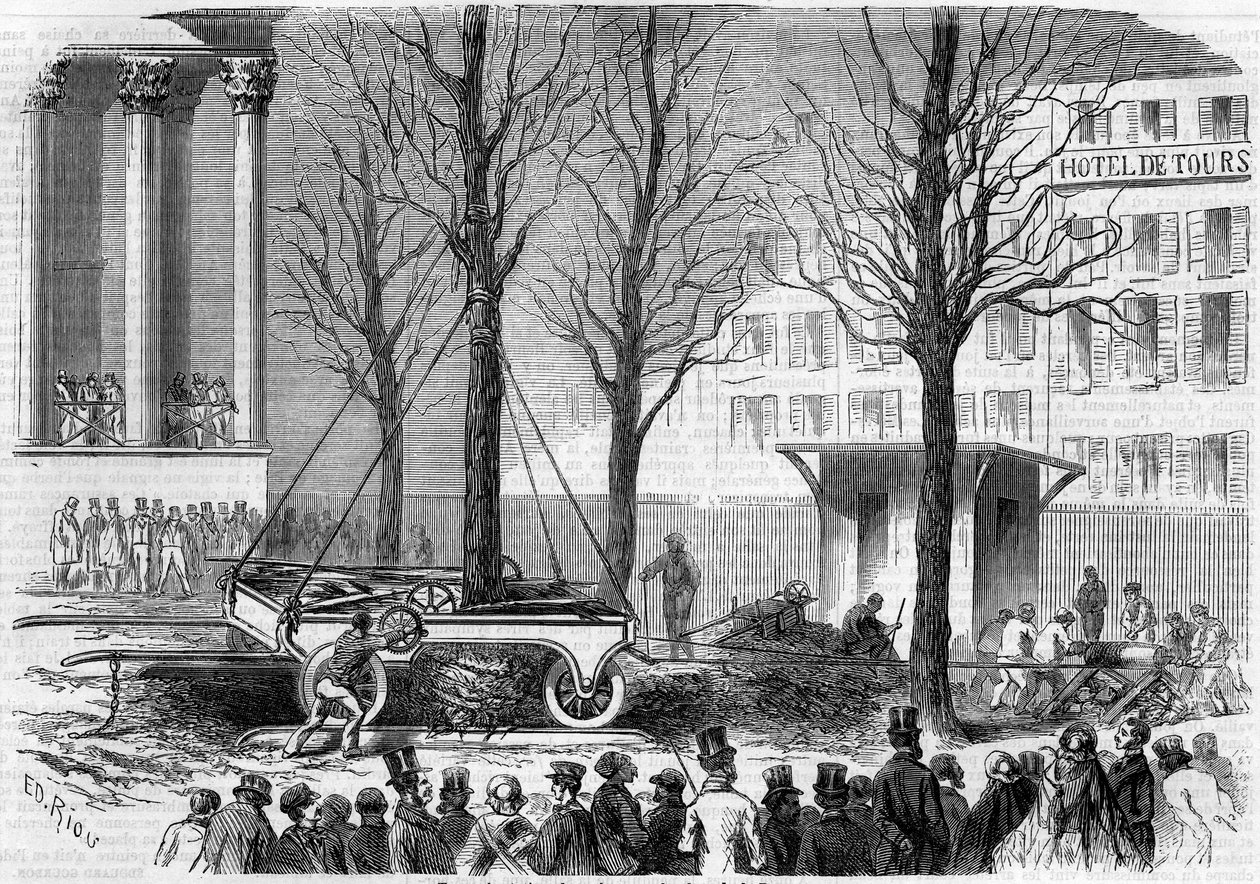 Baumverpflanzung auf dem Place de la Bourse in Paris im Winter 1858. Gravur von Riou in „Le Monde Illustré“ Nr. 46 vom 27. Februar 1858 von Edouard Riou