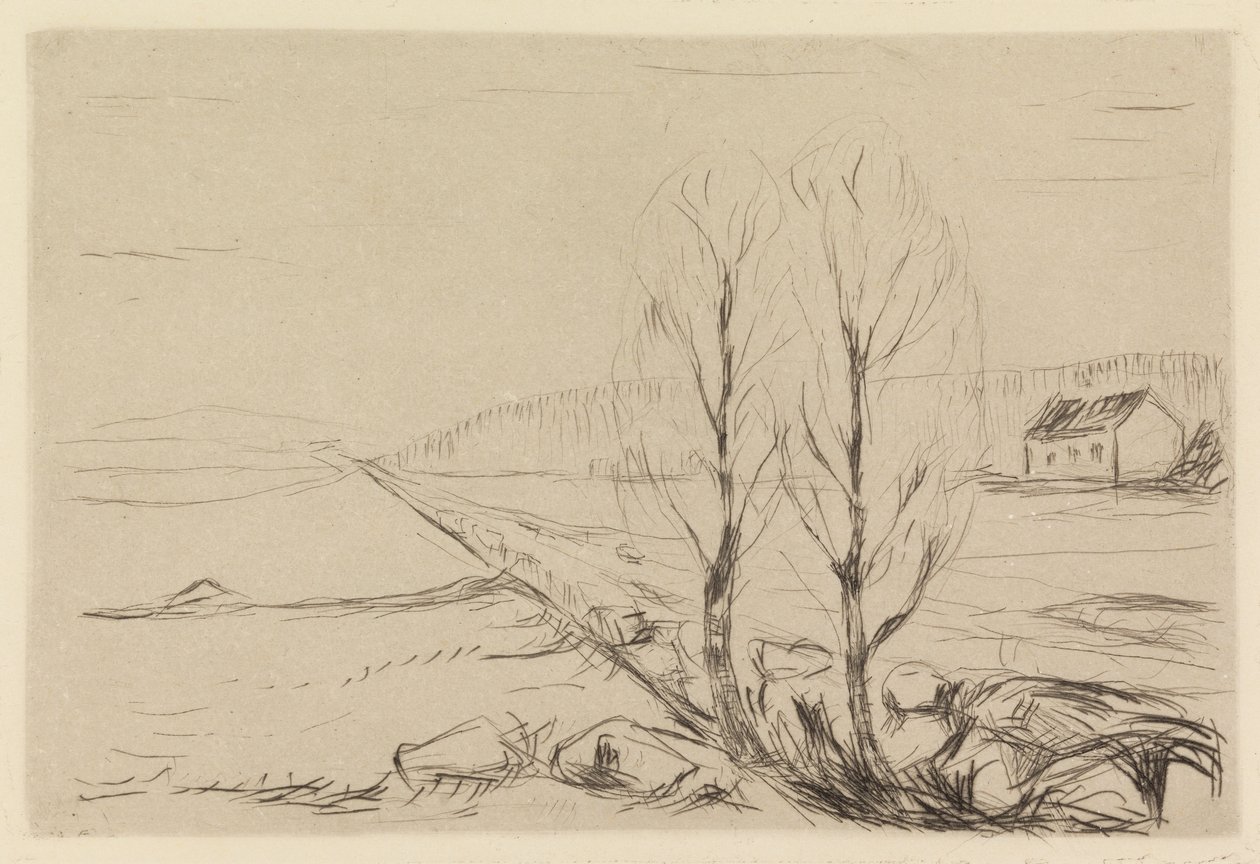 Zwei Bäume von Edvard Munch