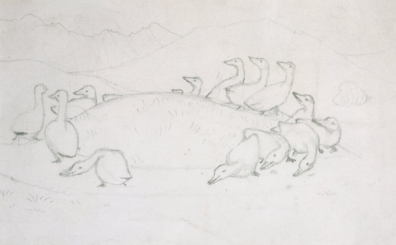 Enten von Edward Burne-Jones