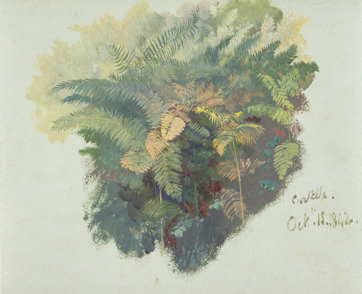 Eine Studie von Farnen, Citivella, 1842 von Edward Lear