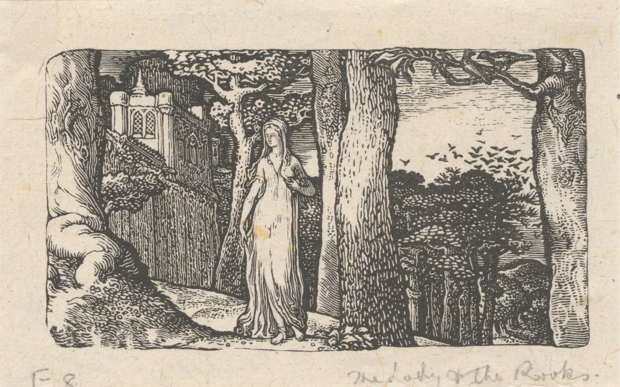 Die Dame und die Saatkrähen von Edward Calvert