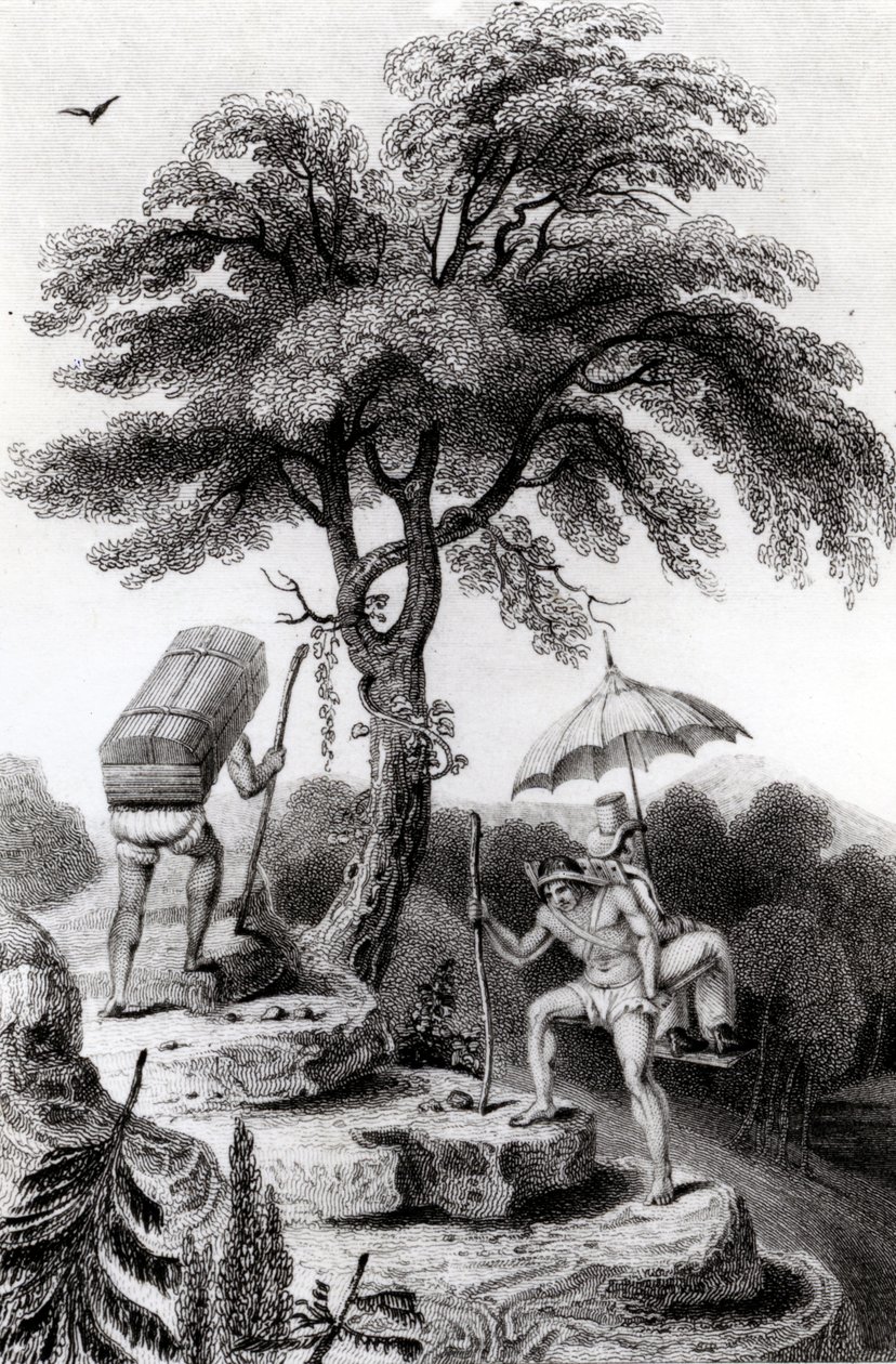 Ansicht des Passes von Quindio, Illustration aus 