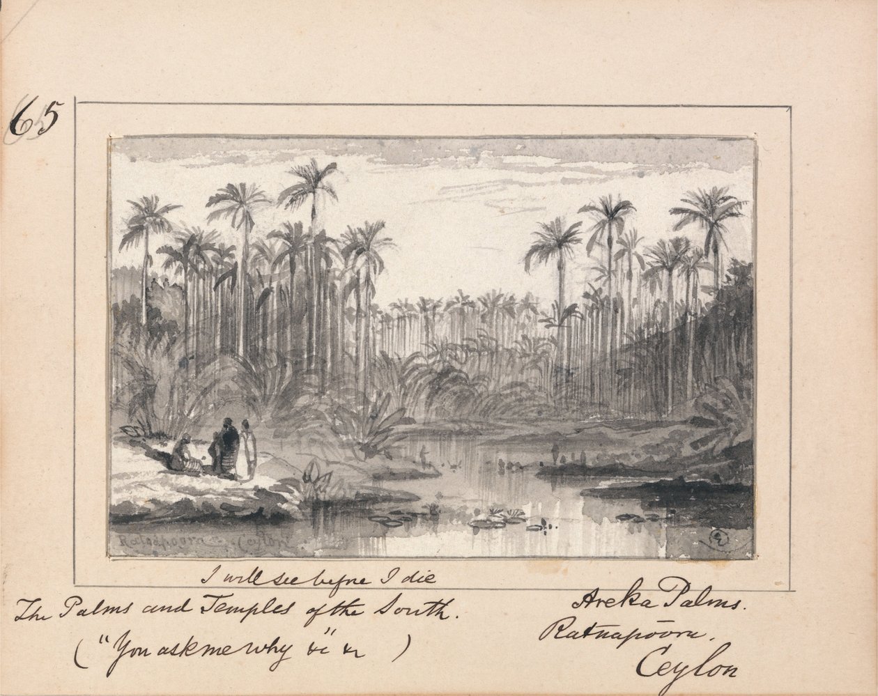 Areka-Palmen, Ratanapooru, Ceylon - 