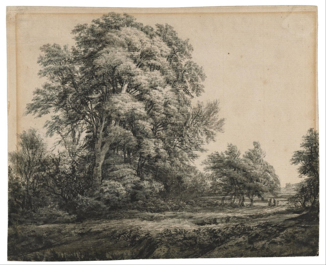 Waldlandschaft von Edward Lear