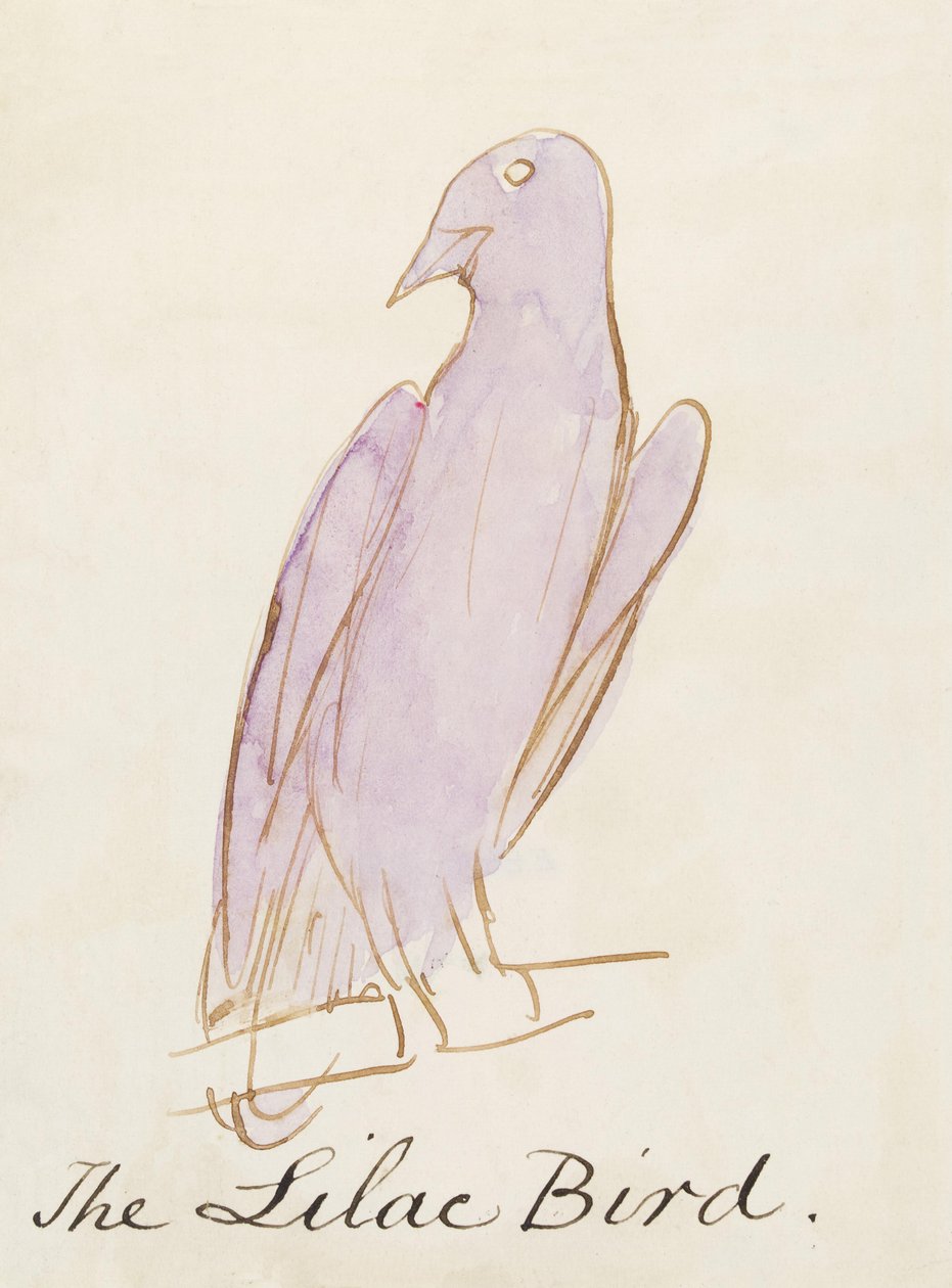 Der Flieder-Vogel, aus Sechzehn Zeichnungen komischer Vögel von Edward Lear