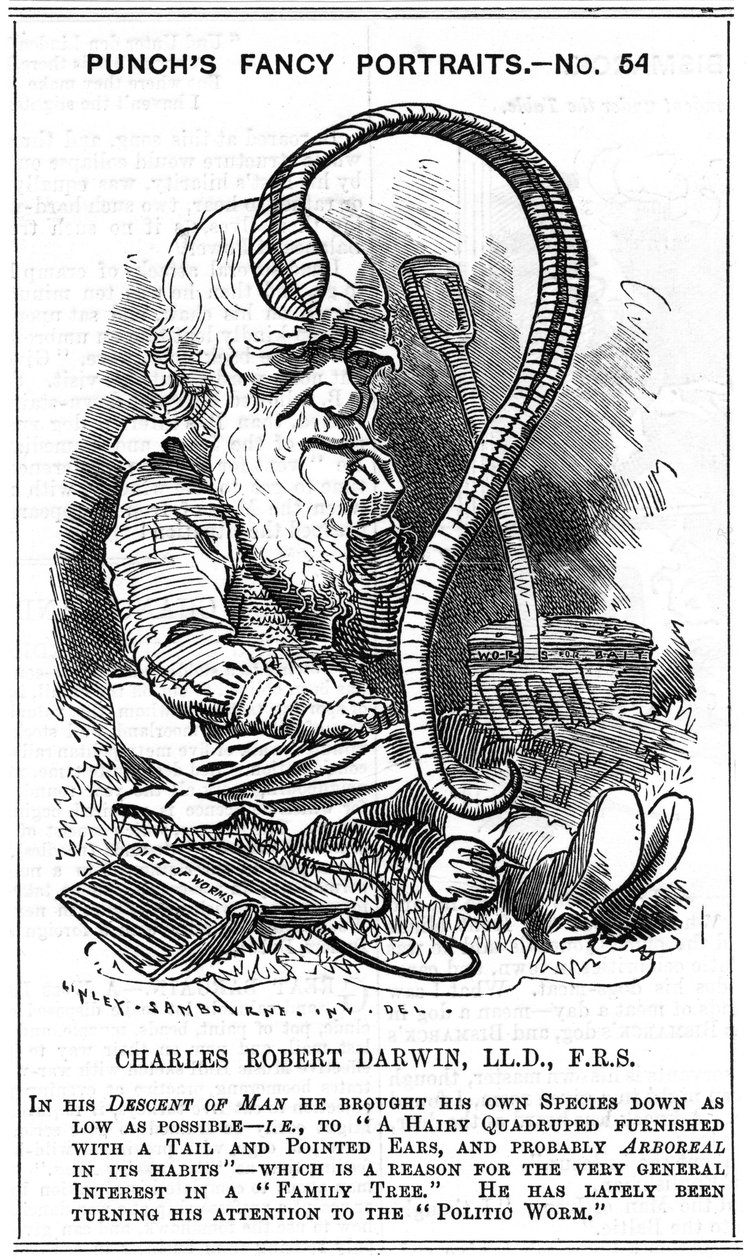 Charles Darwin (1809-1882), englischer Naturforscher. Evolution durch natürliche Selektion. Karikatur von Edward Linley Sambourne (1844-1910) in der Serie Fancy Portraits in Punch, London 1881, dem Jahr, in dem Darwin Die Entstehung von Pflanzenmould durch von Edward Linley Sambourne