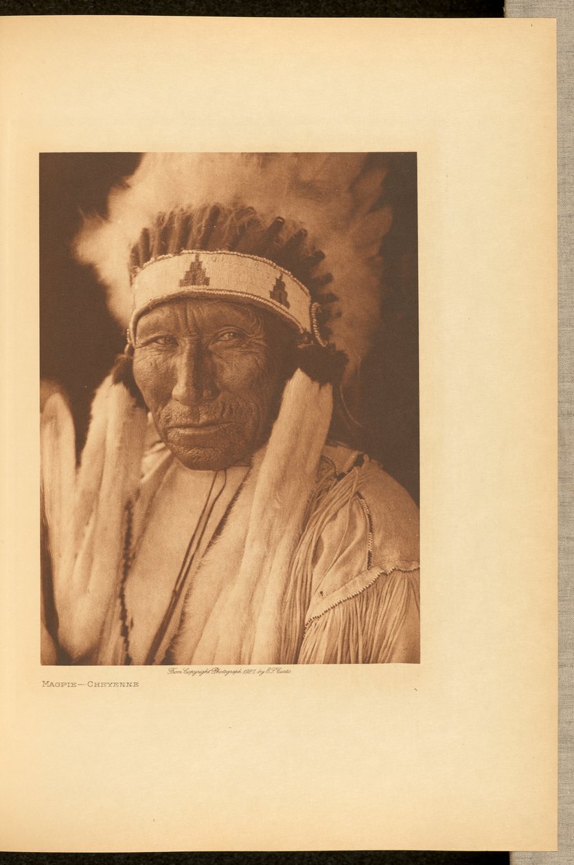 Elster - Cheyenne von Edward S. Curtis