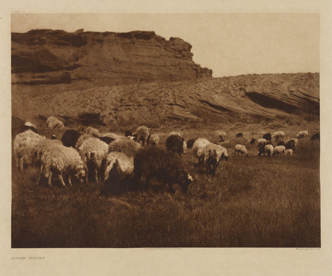 [Navajo-Herden] von Edward S. Curtis
