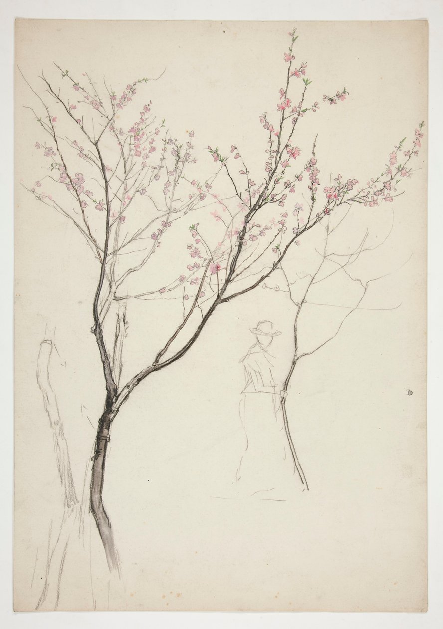Studie einer Figur unter einem blühenden Baum von Edwin Austin Abbey