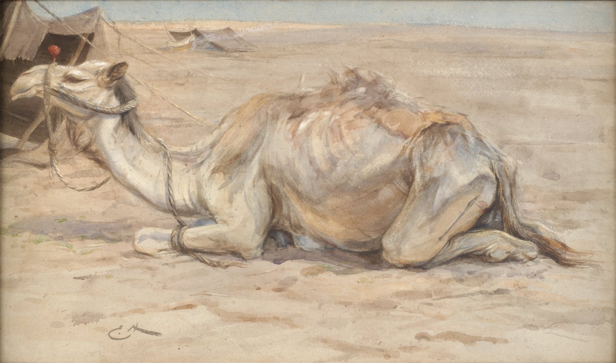 Kamel im Lager des Künstlers mit Beduinen von Edwin John Alexander
