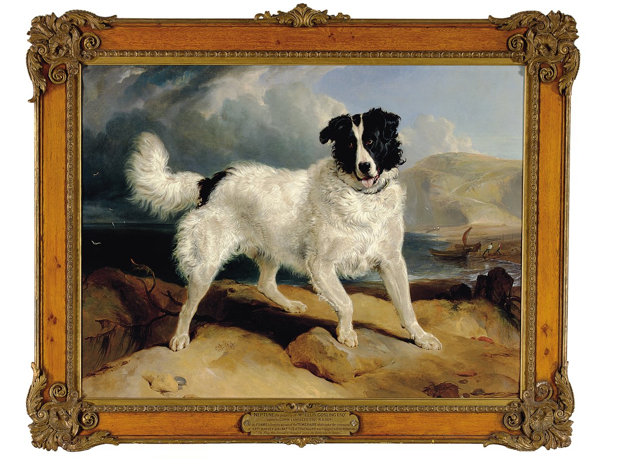 Neptun, im Besitz von William Ellis Gosling, Esq., 1824 von Edwin Landseer