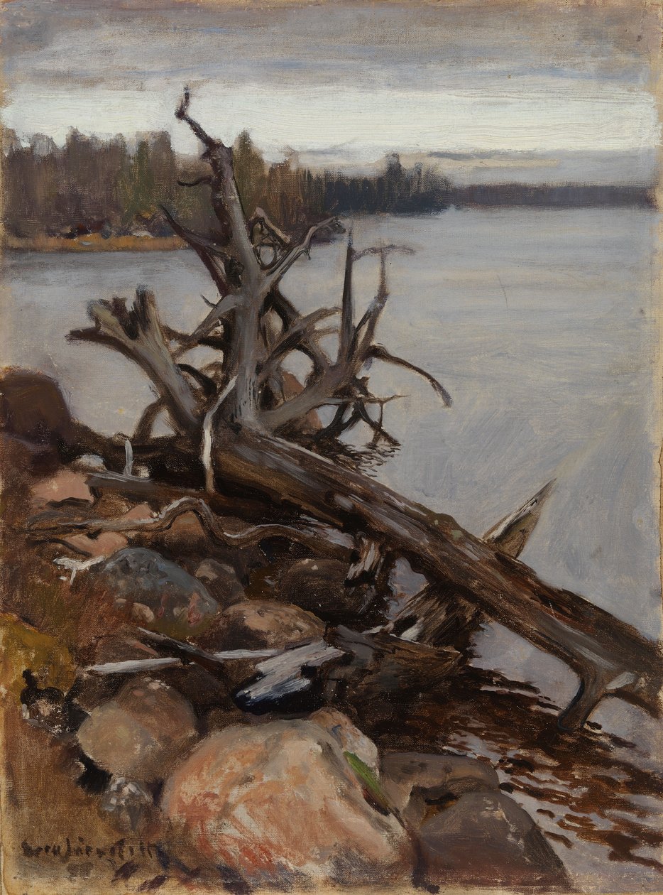 Tote Kiefer im Wasser von Eero Järnefelt