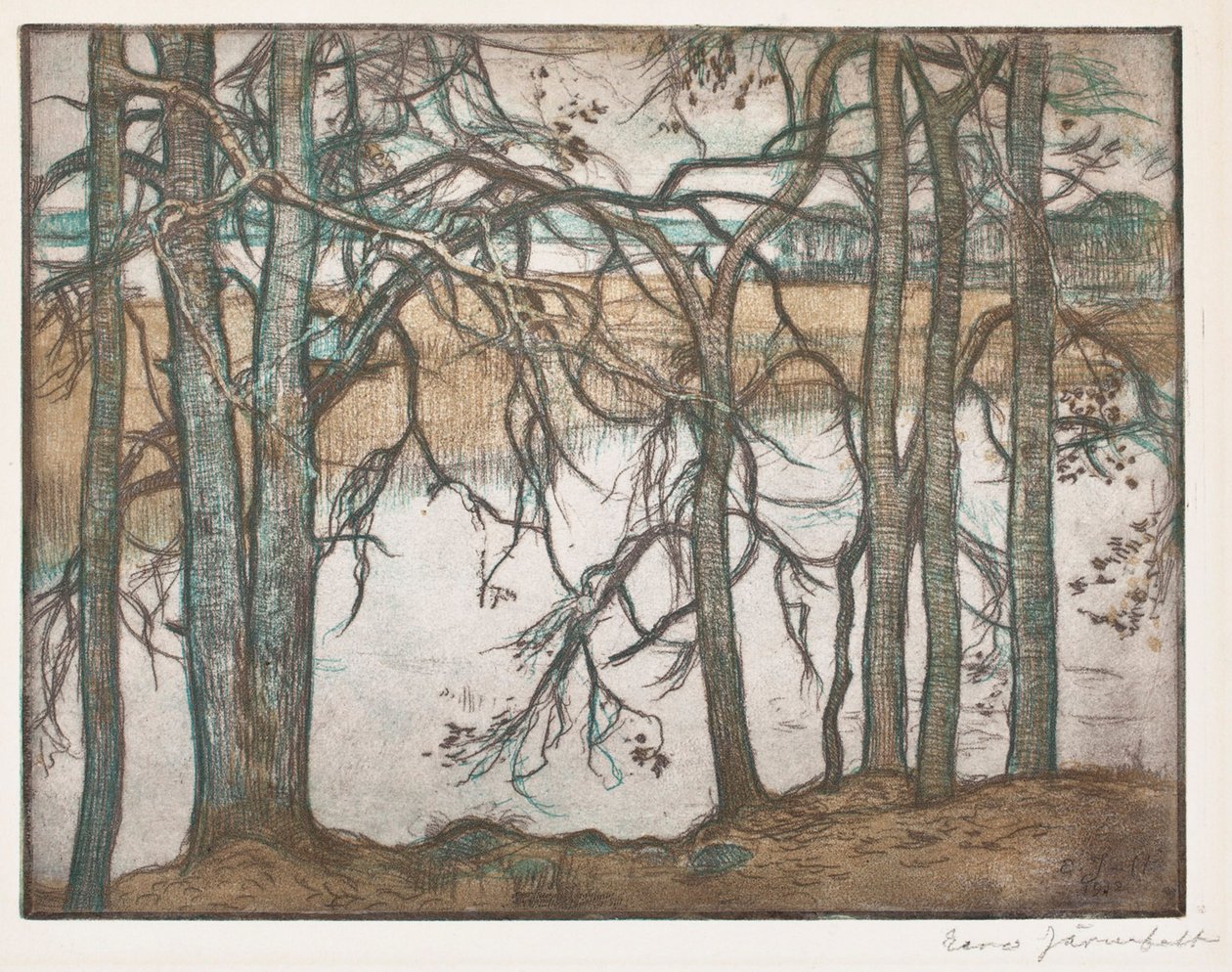 Seeufer mit Schilf von Eero Järnefelt