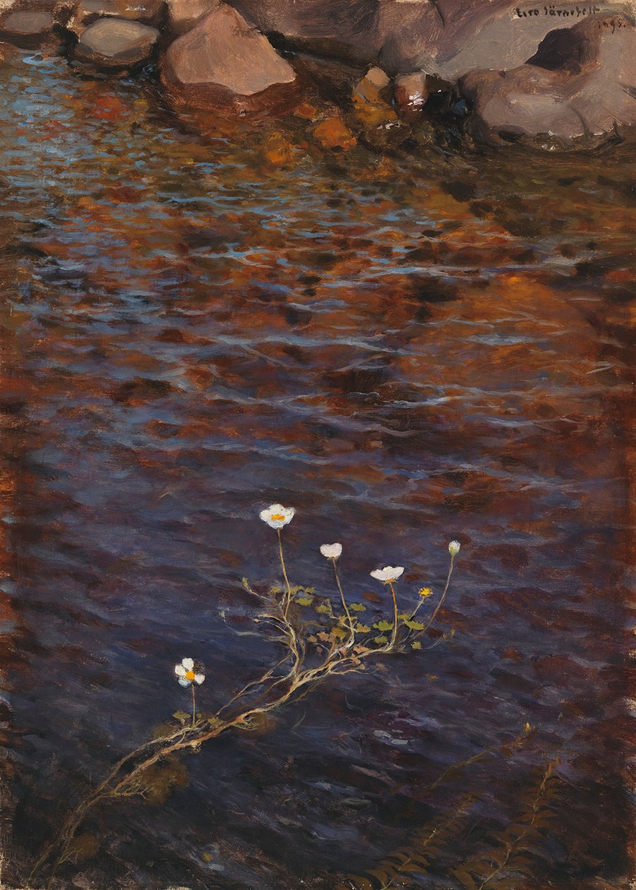 Schild-Wasserhahnenfuß von Eero Järnefelt