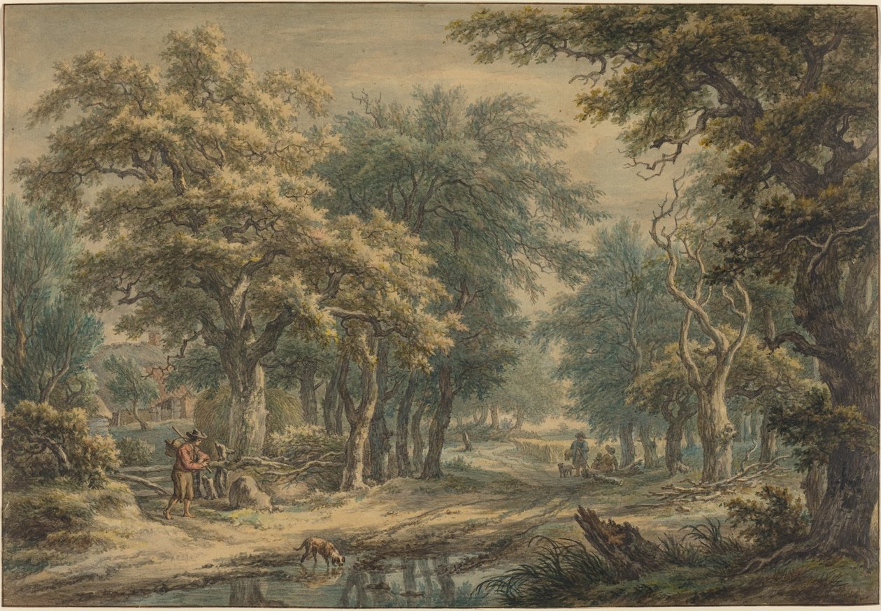 Bei Donderen, in den Wäldern von Drenthe von Egbert van Drielst