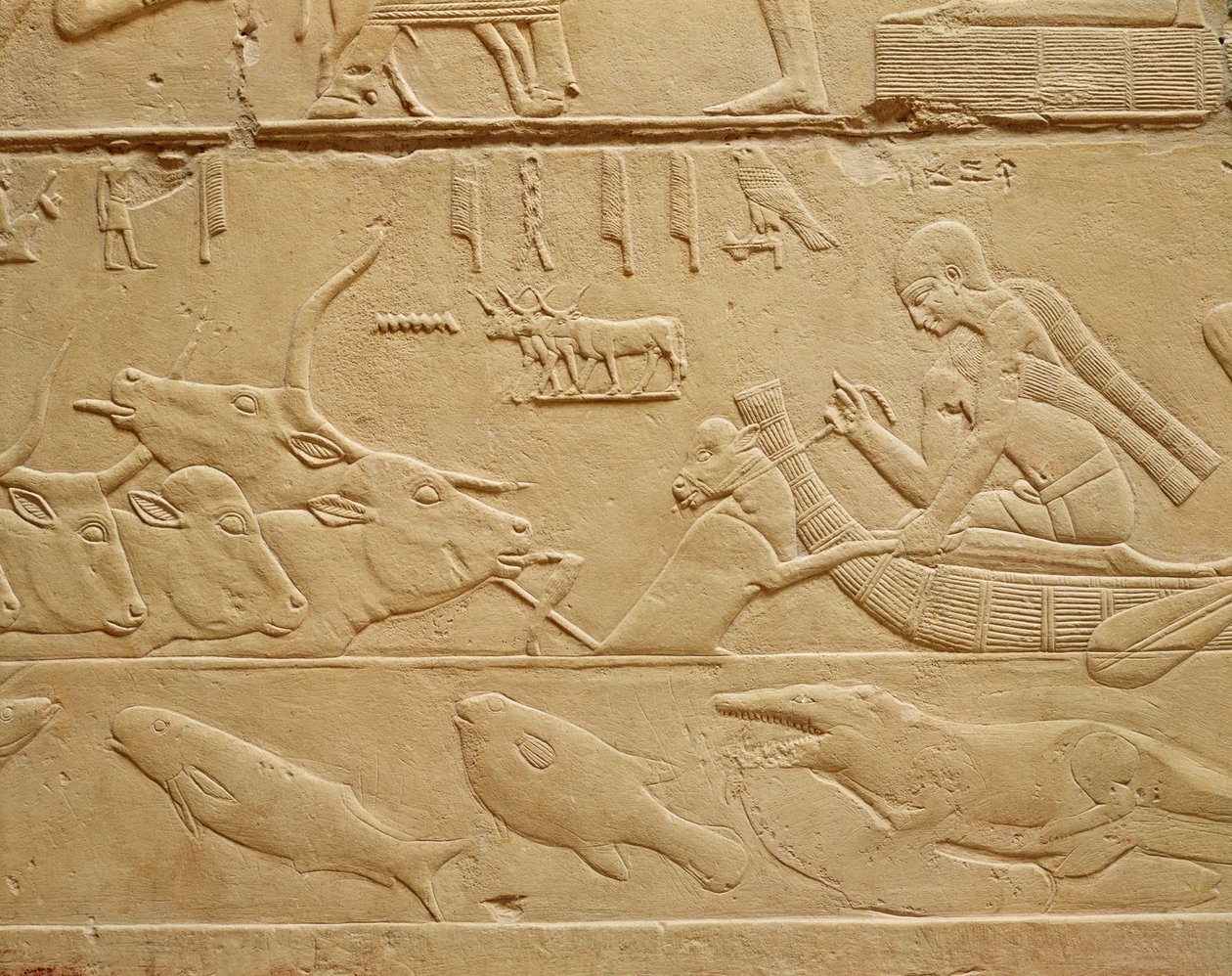 Rinder überqueren eine Furt, aus der Mastaba von Kagemni von Egyptian 6th Dynasty