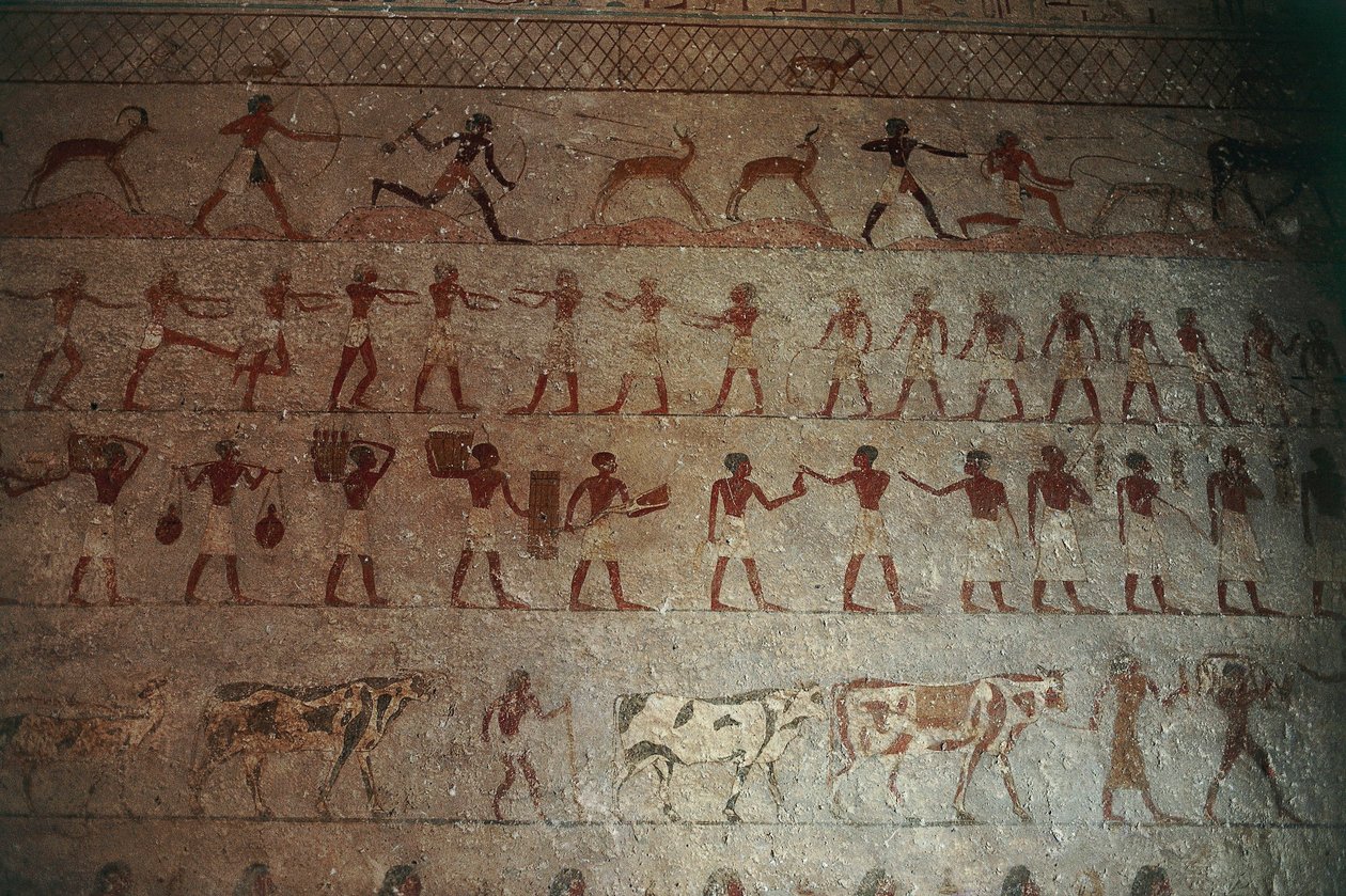 Beni-Hasan Nekropole. Grab des Amenemhat, (Detail) von Egyptian 12th Dynasty