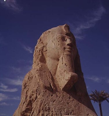 Alabaster-Sphinx, Neues Reich, wahrscheinlich aus der Regierungszeit von Amenhotep II, ca. 1450-1425 v. Chr. von Egyptian 18th Dynasty