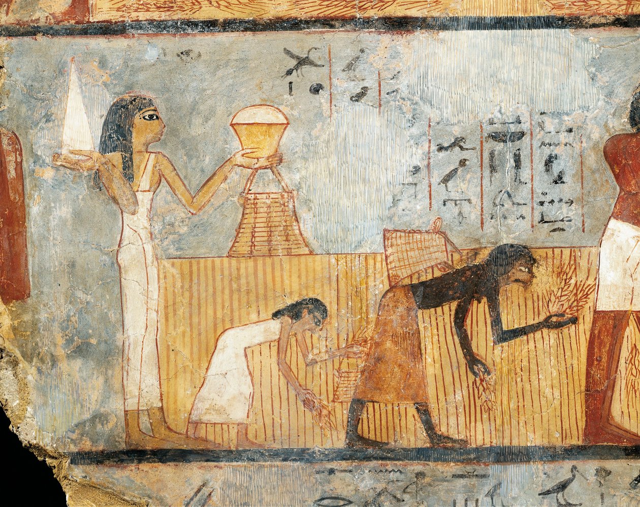 Ägypten, Theben, Grab von Unsu, Frau bringt Essen zu Arbeitern auf den Feldern, Wandmalerei von Egyptian 18th Dynasty