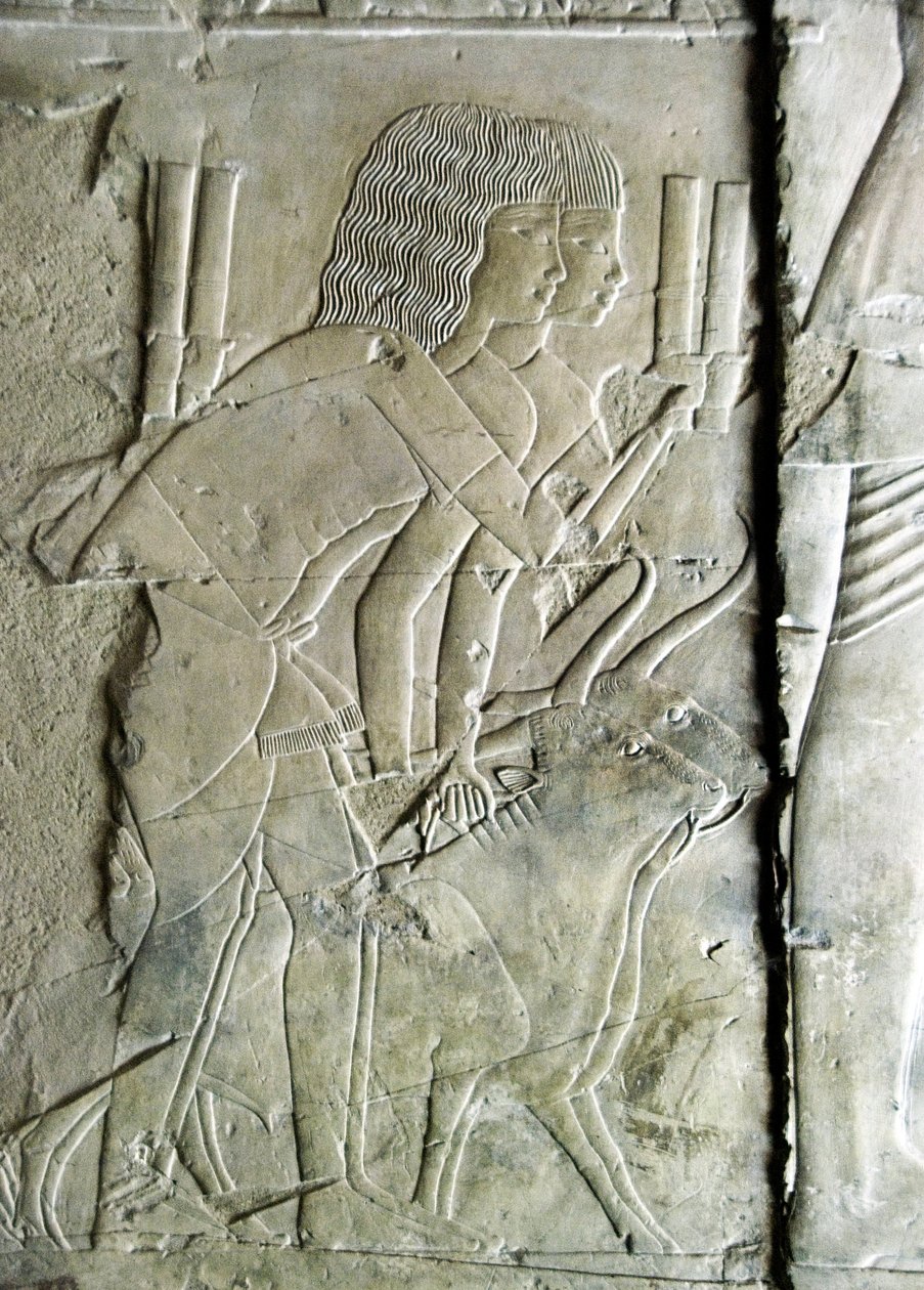 Ägyptische Antiquität: Relief aus dem Grab von Kha em Het, Männer bieten Rübenköpfe als Opfergabe an von Egyptian 18th Dynasty