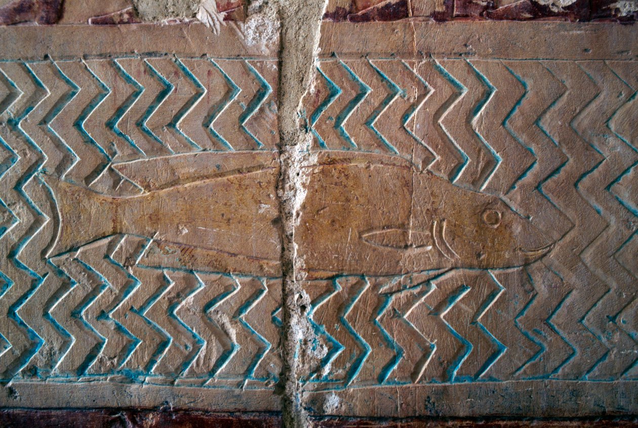 Fische, Szenen des Punt-Königreichs, Südwand der zentralen Kolonnade, Totentempel von Hatschepsut, Deir el-Bahari, Thebanische Nekropole (UNESCO-Welterbeliste) von Egyptian 18th Dynasty
