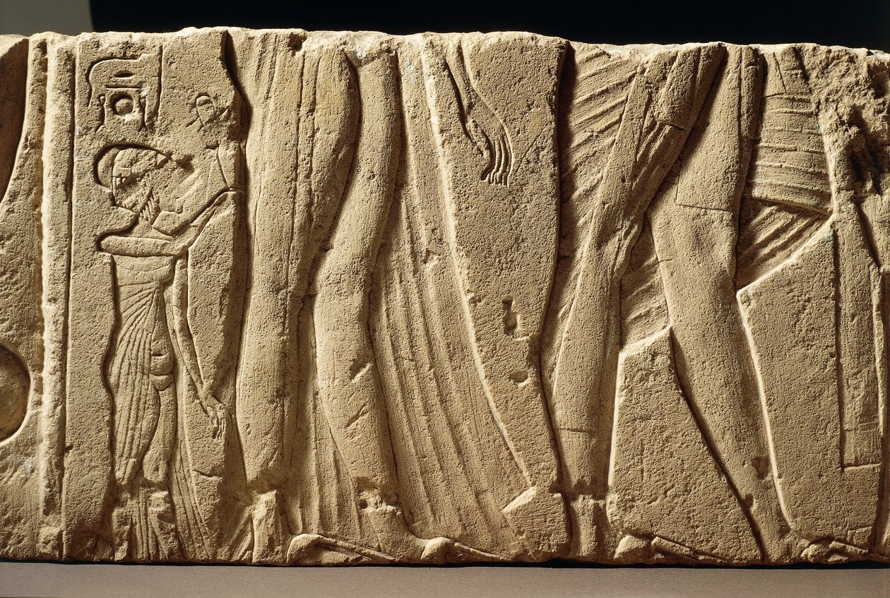 Fragment einer geschnitzten Wand, die eine Prinzessin darstellt, die ...