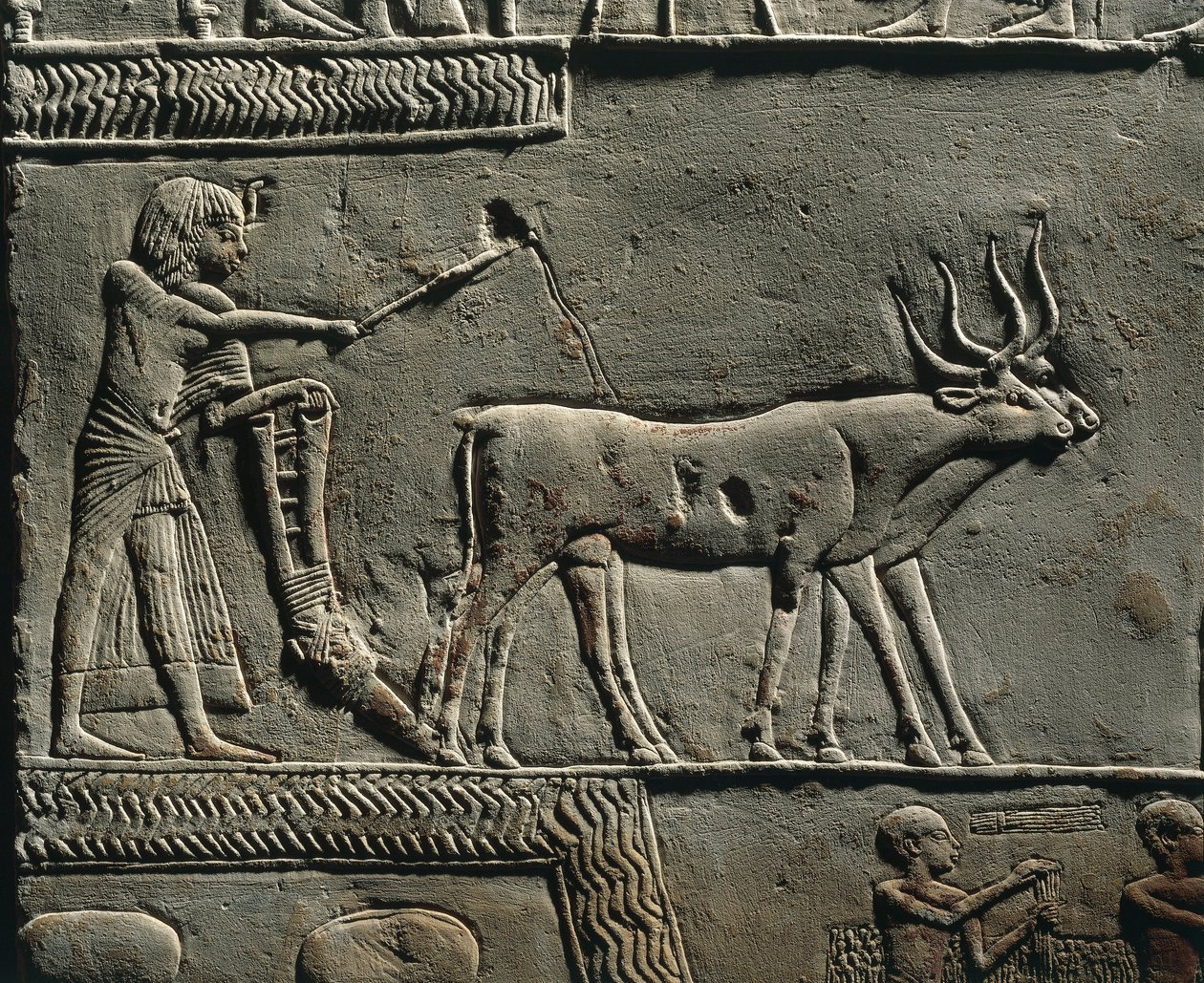 Horemheb pflügt Land in den Feldern von Iaru. Relief aus dem Grab von Horemheb in Saqqara (Detail) von Egyptian 18th Dynasty