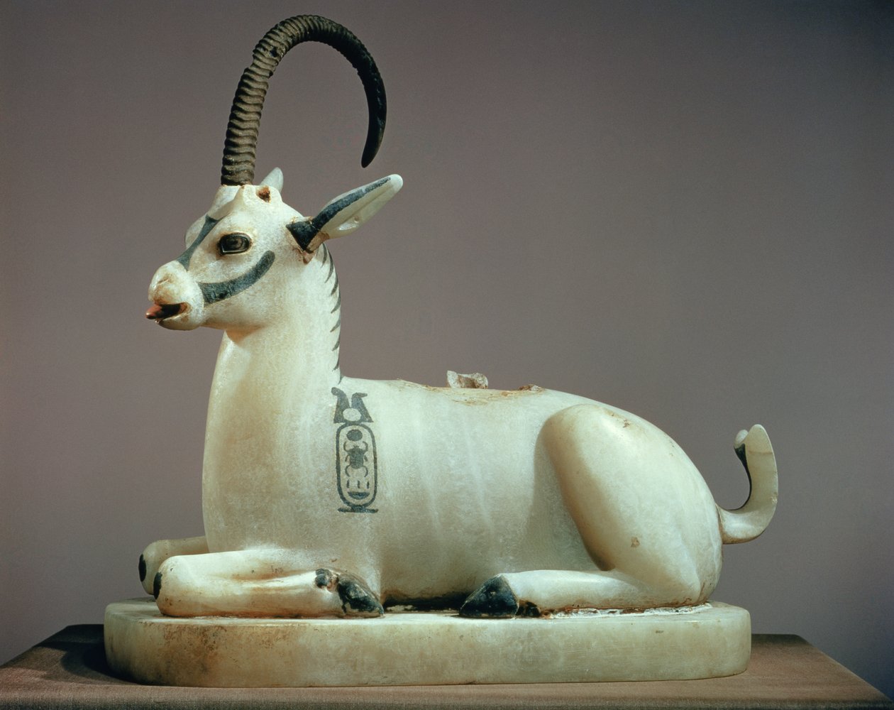 Deckel eines Salbgefäßes in Form eines Steinbocks, aus dem Grab von Tutanchamun (ca. 1370-52 v. Chr.) Neues Reich (bemalter Alabaster) von Egyptian 18th Dynasty