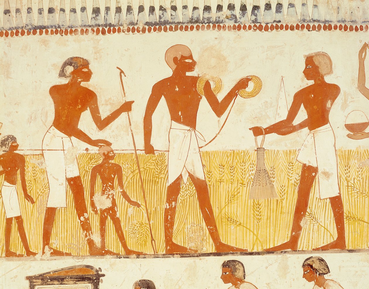 Landvermessung mit Seil, aus der Grabkapelle von Menna, Neues Reich von Egyptian 18th Dynasty