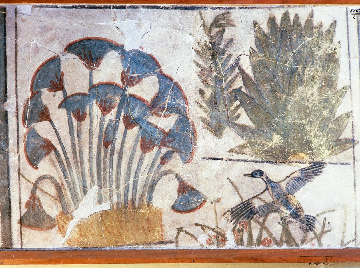 Malerei, die eine Ente zwischen Pflanzen darstellt, aus dem Palast von Echnaton, El-Awara, Ägypten von Egyptian 18th Dynasty