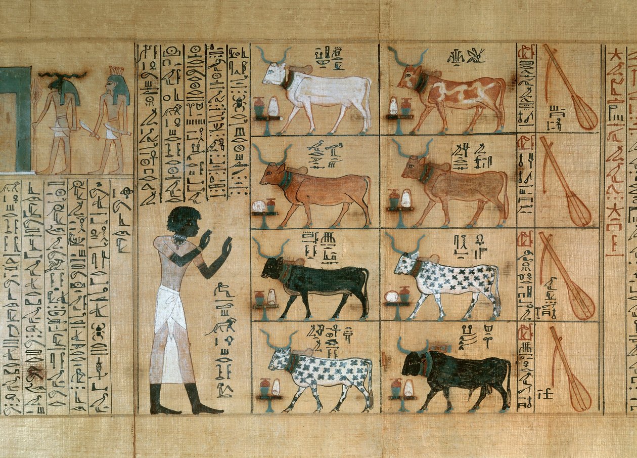 Papyrus, der Ochsen darstellt, aus dem Totenbuch von Maiherperi von Egyptian 18th Dynasty