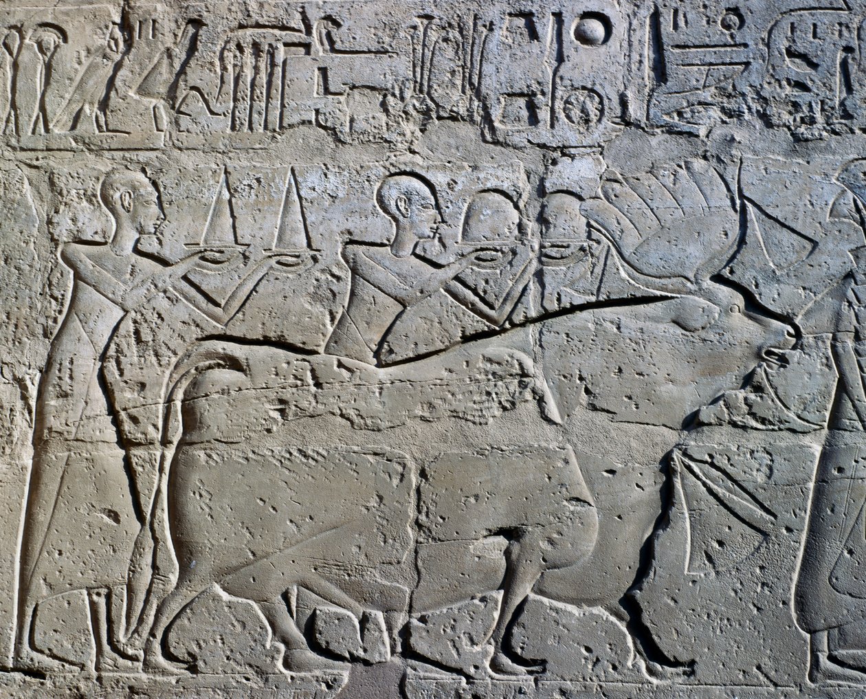 Charaktere, die Bergbaudistrikte symbolisieren und ihre Tribute an den Gott bringen, Relief, Ramses II Hof, Tempel des Amun (Unesco-Welterbeliste) von Egyptian 19th Dynasty