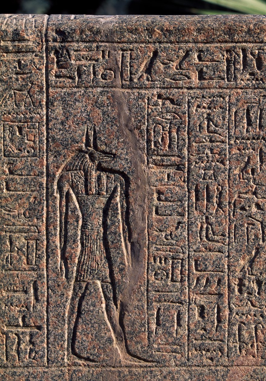 Darstellung von Anubis, Detail der Inschrift und des Reliefs von Anubis und einem anderen Gott, Amenhoteps Sarkophag, Memphis (Unesco-Welterbeliste) von Egyptian 19th Dynasty