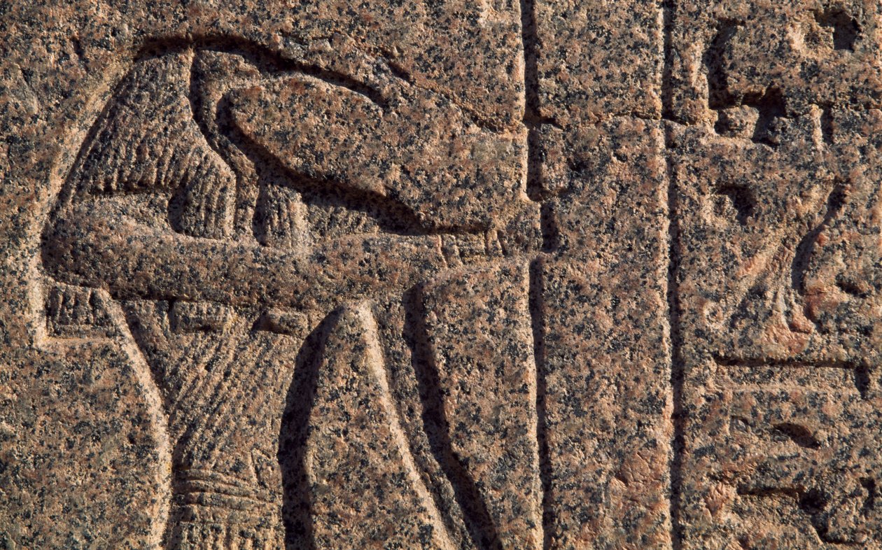 Darstellung von Thoth, Detail der Inschrift und des Reliefs von Thoth und Horus, Amenhoteps Sarkophag, Memphis (UNESCO-Welterbeliste) von Egyptian 19th Dynasty