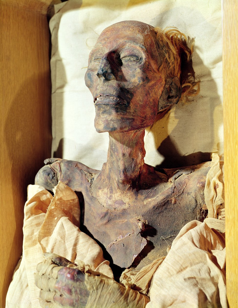 Mumifizierter Körper von Ramses II (1304-1237 v. Chr.) in einem Grab in Deir al-Bahri gefunden von Egyptian 19th Dynasty