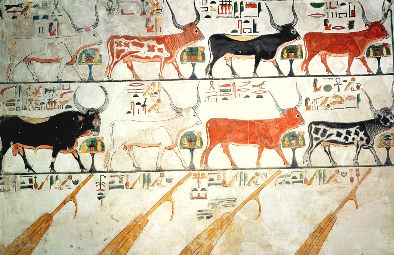 Die sieben himmlischen Kühe und der heilige Stier und die vier Ruder des Himmels, aus dem Grab von Nefertari, Neues Reich von Egyptian 19th Dynasty