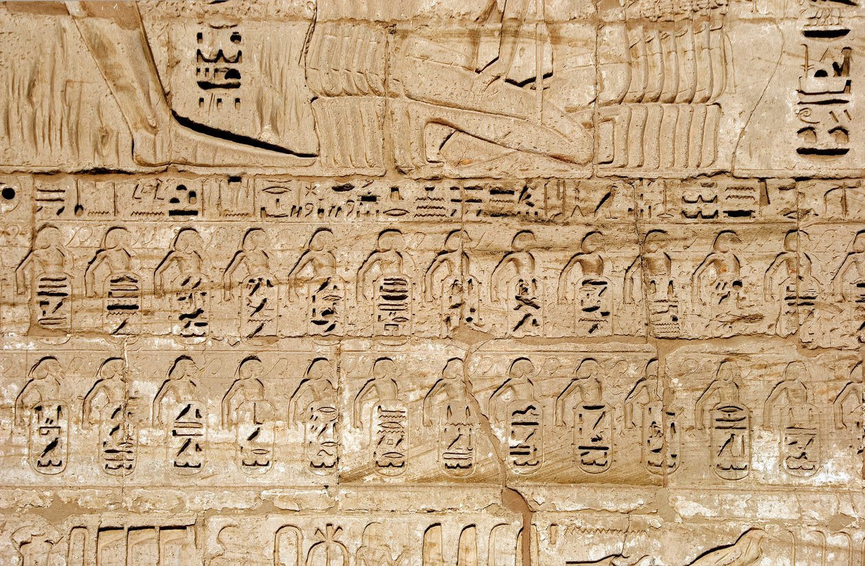 Ägyptische Antike: Detail der Reliefs des ersten Pylons, die die Embleme der von Pharao Ramses III. eroberten Städte darstellen. Totentempel von Ramses III. (1187-1156 v. Chr.). Luxor, Medinet Habu, Ägypten von Egyptian 20th Dynasty