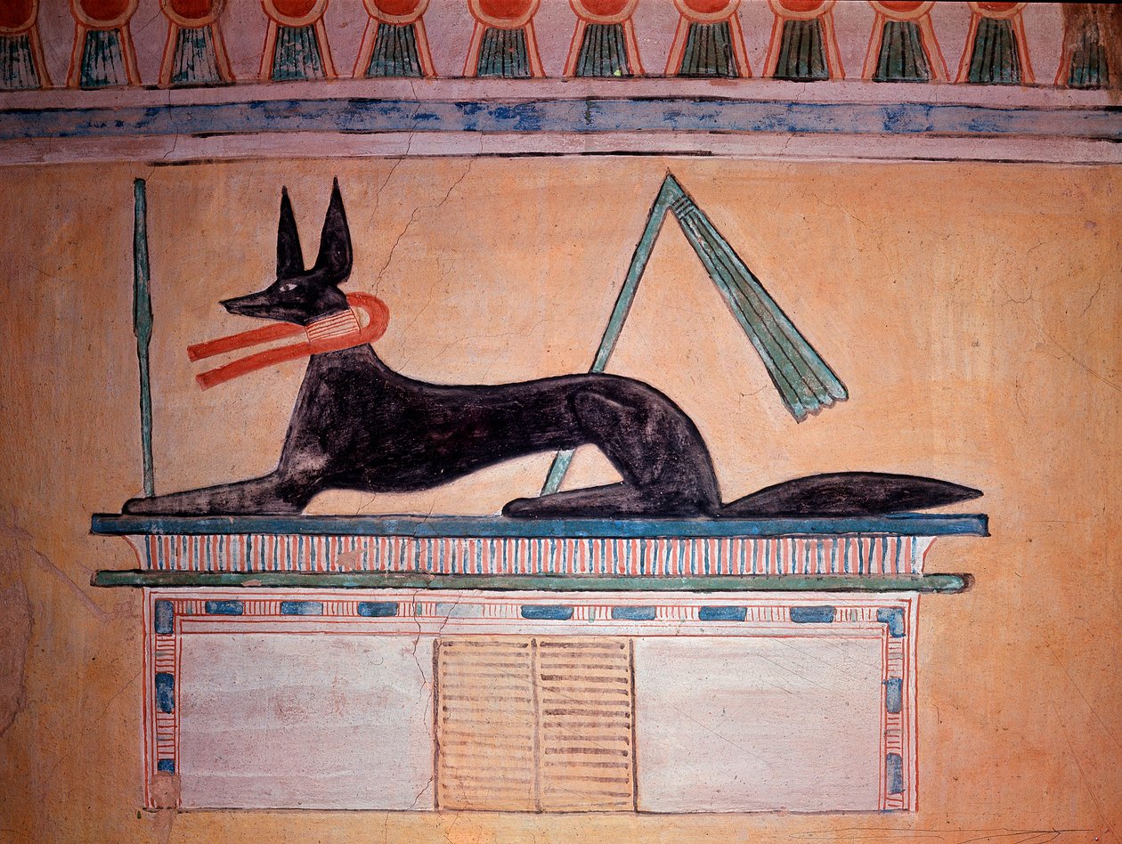 Schakalköpfiger Anubis, Gott der Mumifizierung. Wand des Grabes von Prinz Khaemweset II (bemalte Kalksteinverzierung, 20. Dynastie) von Egyptian 20th Dynasty