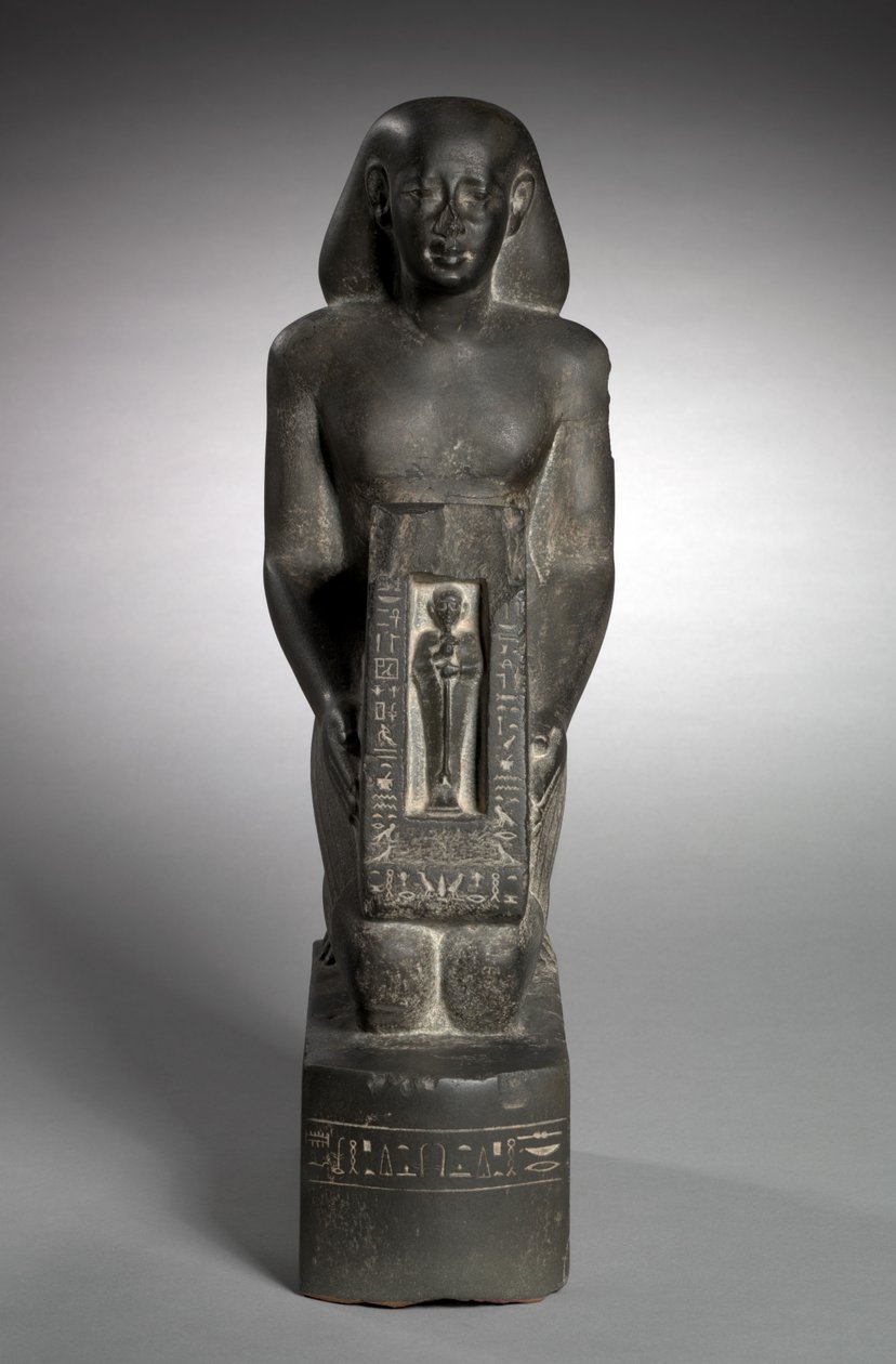Naophore Statue des Finanzbeamten und Aufsehers der Felder, Horwedja, 521-486 v. Chr. von Egyptian 27th Dynasty