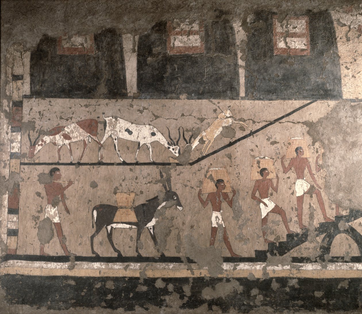 Agrarszene, Wandmalerei aus der Mastaba des Ti in Sakkara, Altes Reich, ca. 2494-2345 v. Chr. (bemalter Kalkstein) von Egyptian 5th Dynasty