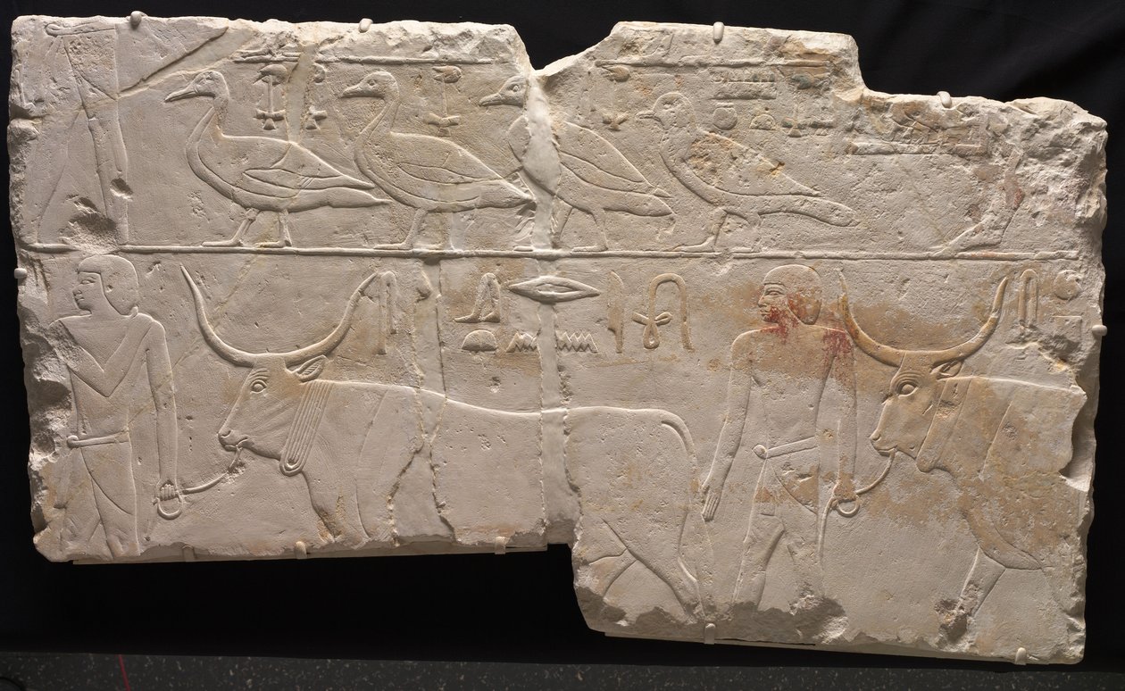 Relief von Männern, die Vögel und Vieh bringen, ca. 2311-2281 v. Chr. von Egyptian 6th Dynasty