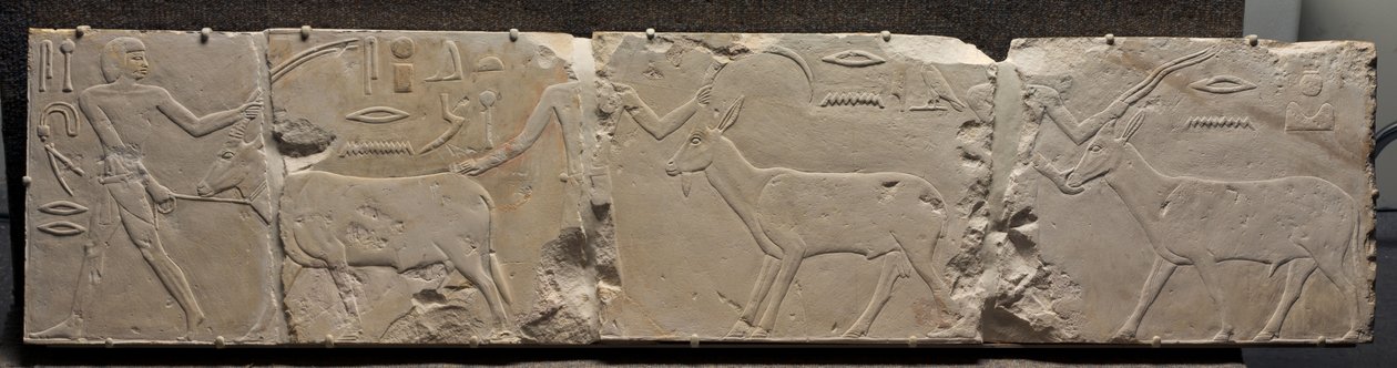 Relief von Männern, die Wüstentiere bringen, ca. 2311-2281 v. Chr. von Egyptian 6th Dynasty