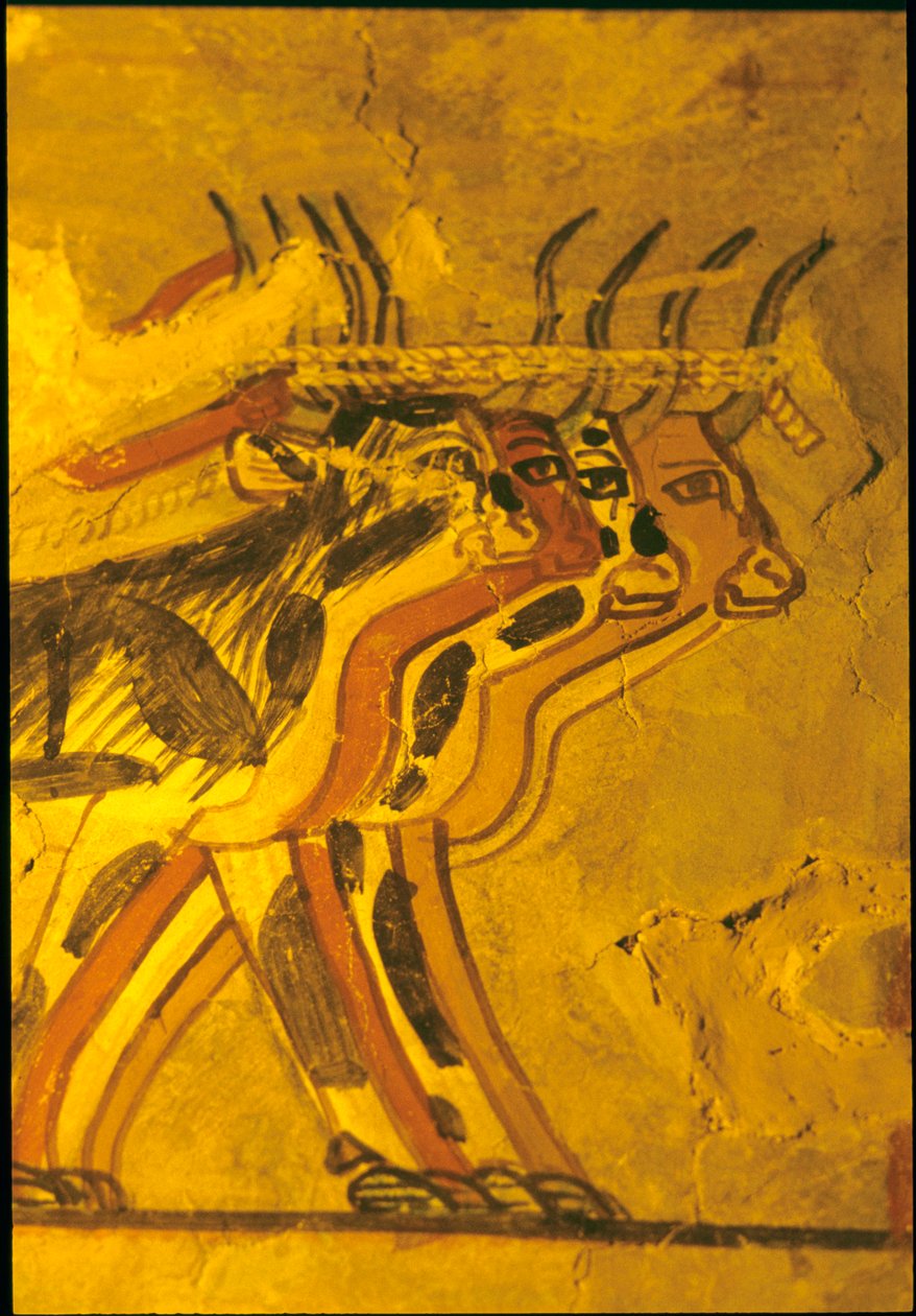 Altes Ägypten, Wandmalerei, Grab von Sennufer, Grab der Adligen, Theben von Egyptian Egyptian