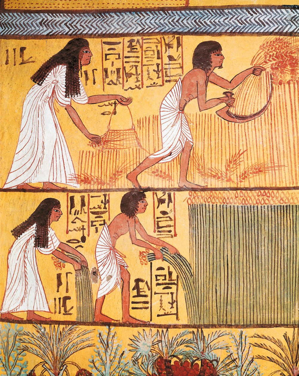 Detail einer Ernteszene an der Ostwand, aus dem Grab von Sennedjem, Das Dorf der Arbeiter von Egyptian Egyptian