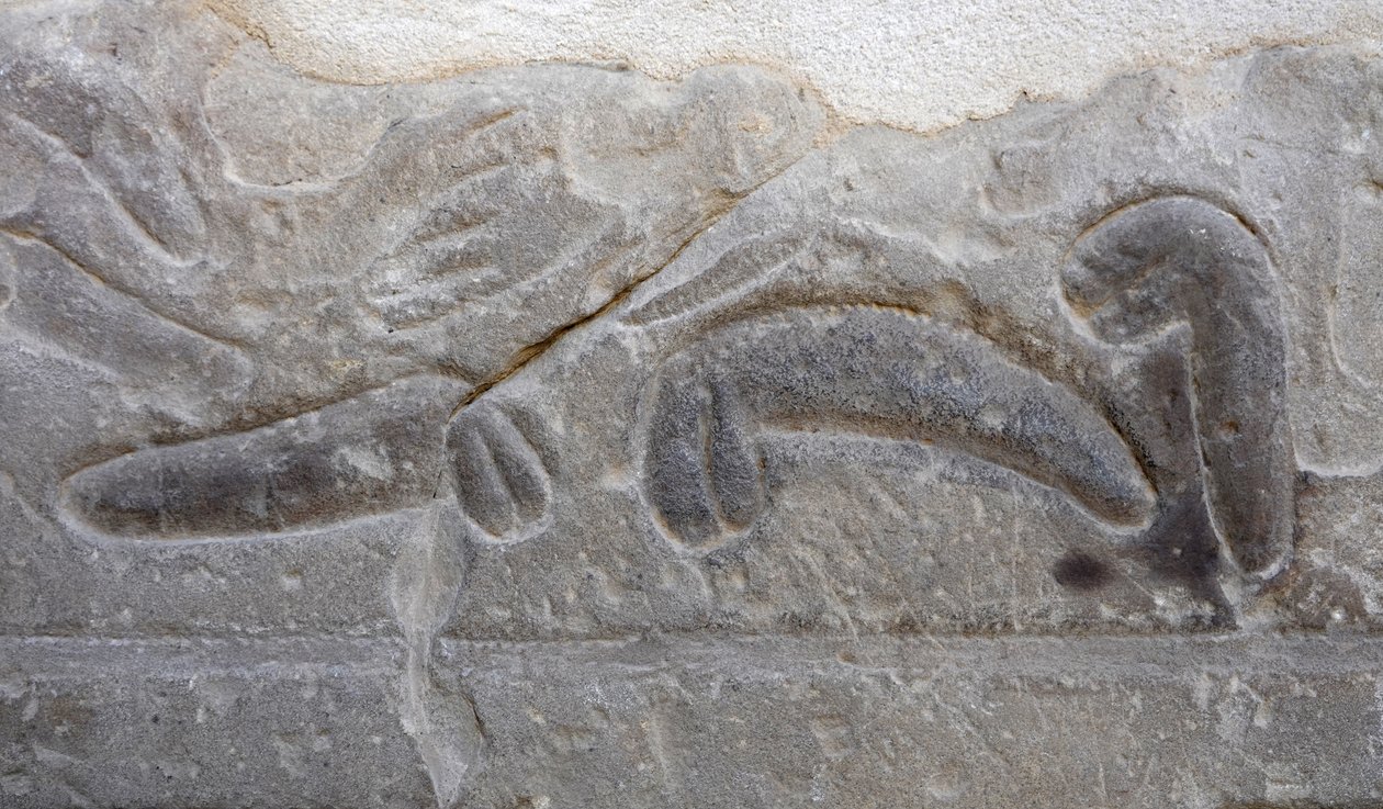 Anhäufungen von abgeschnittenen männlichen Geschlechtsteilen des Feindes, Tempel von Horus, Edfu von Egyptian Egyptian