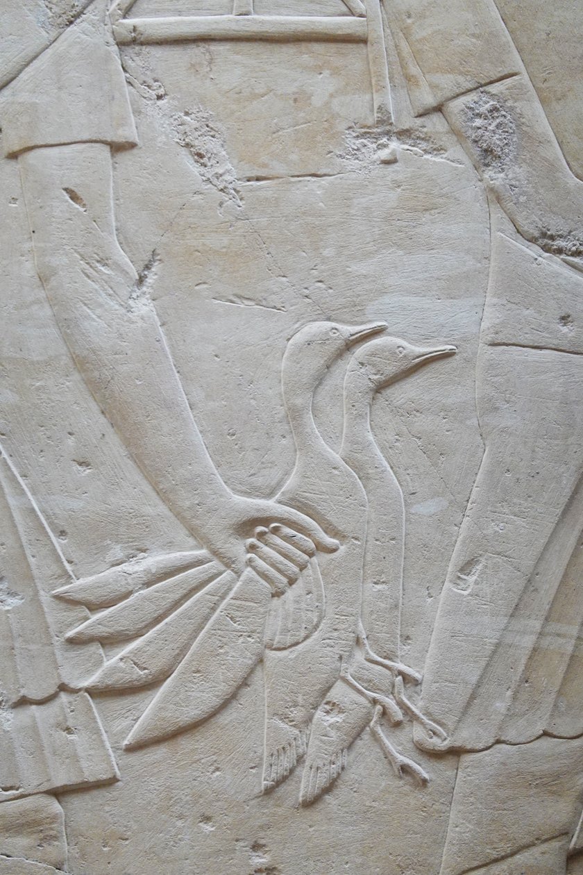 Hand hält 2 Gänse an den Flügeln, Grab von Ramose von Egyptian Egyptian