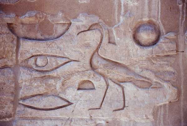 Hieroglyphen von einer Säule, Luxor-Tempel von Egyptian Egyptian